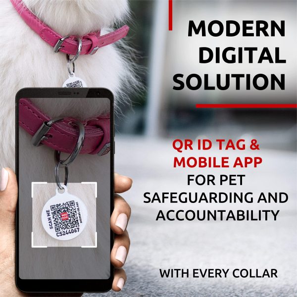 Ultra Soft Rolled Leather Dog Collar for Small Dogs   Soft Padded Dog Collars for Medium Dogs   Puppy Collars for Large Breed Dogs   Male and Female Dog Collar - Image 3