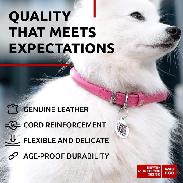 Ultra Soft Rolled Leather Dog Collar for Small Dogs   Soft Padded Dog Collars for Medium Dogs   Puppy Collars for Large Breed Dogs   Male and Female Dog Collar - Image 4