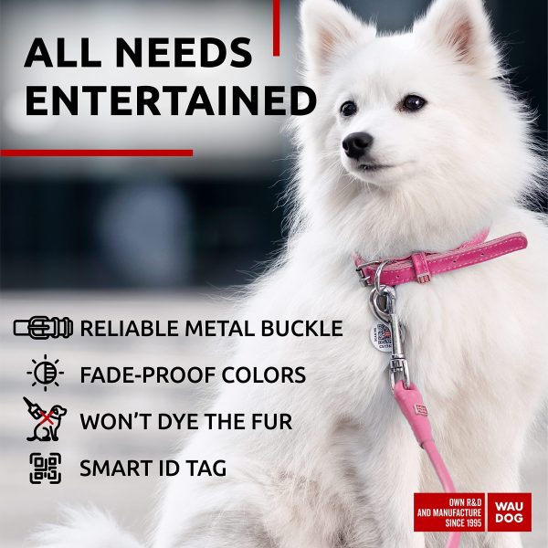 Ultra Soft Rolled Leather Dog Collar for Small Dogs   Soft Padded Dog Collars for Medium Dogs   Puppy Collars for Large Breed Dogs   Male and Female Dog Collar - Image 5