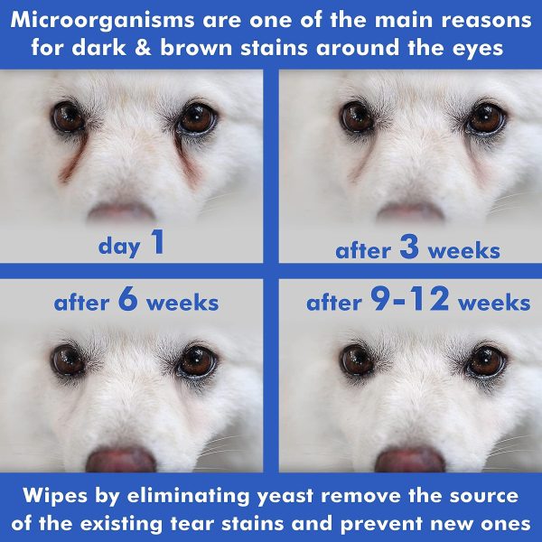 Arava Pet Eye Wipes   for Dogs Cats Puppies & Kittens   100 Count   Natural and Aromatherapy Medicated   Removes Dirt Crust and Discharge   Prevents Tear Stain Infections & Irritations   Soft & Gentle - Image 7