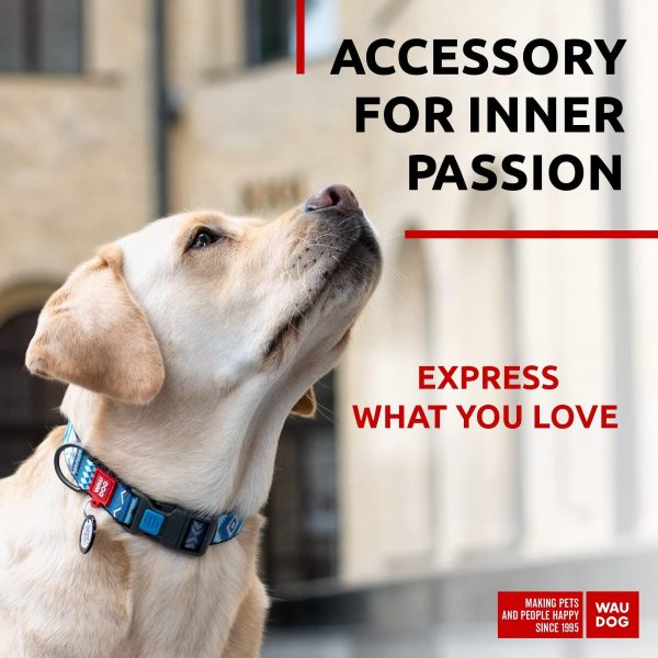 Nylon Dog Collar   Adjustable Dog Collar for Large Dogs Small & Medium Dogs   Breakaway Puppy Collars for Large Breed Dogs   Boy & Girl Dog Collars with Durable Plastic Buckle and QR Dog Tag - Image 2