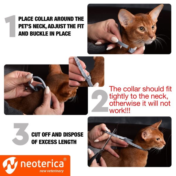 Natural Flea & Tick Collar for Cats   12 Months Control of Best Prevention & Safe Treatment   Anti Fleas and Ticks Essential Oil Repellent (1 Count) - Image 3