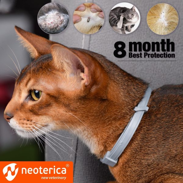 Natural Flea & Tick Collar for Cats   12 Months Control of Best Prevention & Safe Treatment   Anti Fleas and Ticks Essential Oil Repellent (1 Count) - Image 4