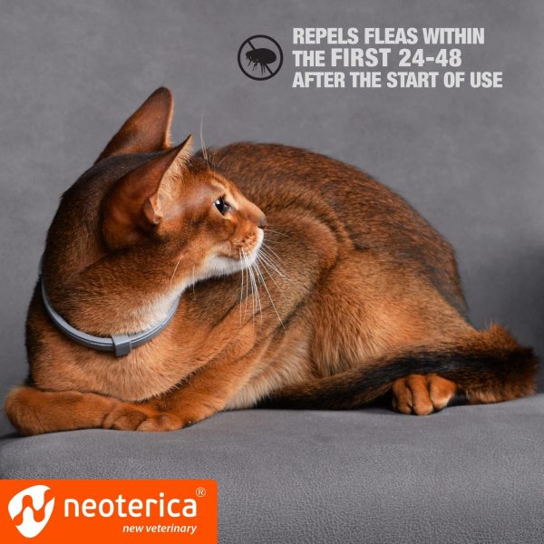 Natural Flea & Tick Collar for Cats   12 Months Control of Best Prevention & Safe Treatment   Anti Fleas and Ticks Essential Oil Repellent (1 Count) - Image 5