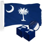 G128 10 Pack: South Carolina SC State Flag | 2.5x4 Ft | ToughWeave Series Embroidered 300D Polyester | Embroidered Design, Indoor/Outdoor, Brass Grommets