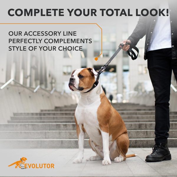 Evolutor Extra Heavy Duty Dog Leash 4 Ft   Durable Leash for Large Medium and Small Dogs   Strong Leashes for Large Breed Dogs   Walking Dog Leash (Black) - Image 5