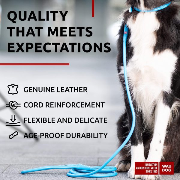 WAUDOG Rolled Leather Dog Leash 4Ft * 0.4 in for Small Medium and Large Dogs   Heavy Duty Leather Puppy Leash for Outdoor Walking Running Training   Strong Dog Leashes for Large Breed Dogs (Blue) - Image 3