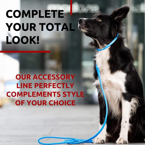 WAUDOG Rolled Leather Dog Leash 4Ft * 0.4 in for Small Medium and Large Dogs   Heavy Duty Leather Puppy Leash for Outdoor Walking Running Training   Strong Dog Leashes for Large Breed Dogs (Blue) - Image 5