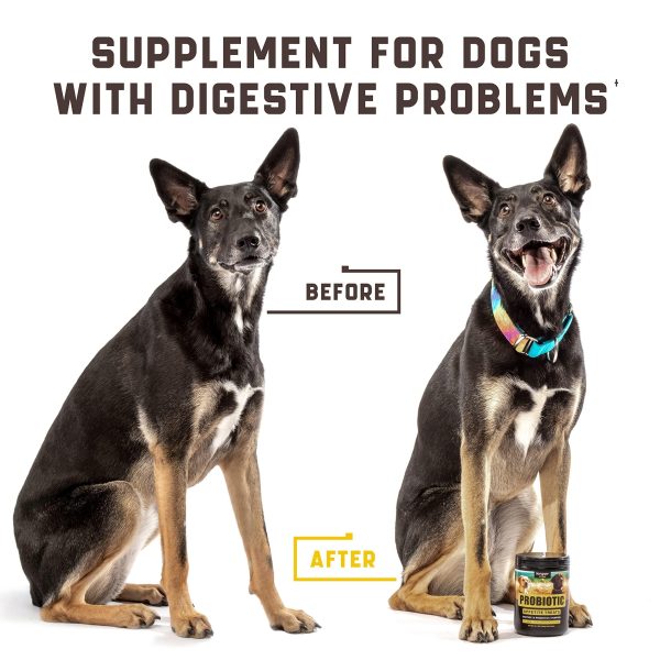 Green & Beautiful Lawn: Reduce yellow patches with green lawn chews for healthy dogs! Easy lower nitrogen in dog urine and deal with unwanted yellow burn spots. Try an amazing grass saver for a clean and vibrant yard! Gut Health for Dogs: Burn spots - Image 5