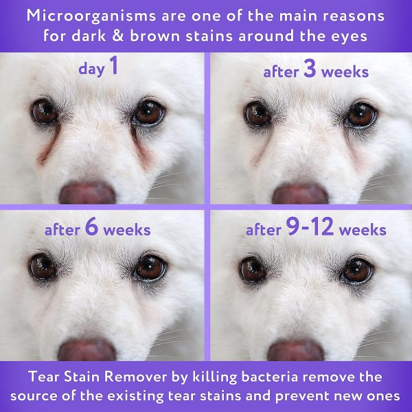 Arava   Tear Stain Remover   Eye Stain Cleaner for Dogs & Cats   Natural Ingredients & 26 Dead Sea Minerals   Safe & Effective for Pets   Removes Tear & Saliva Stains & Prevents New Ones - Image 3