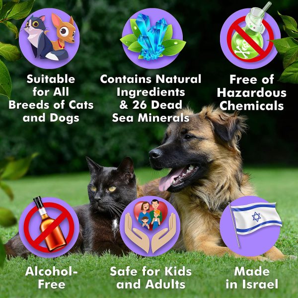 Arava   Tear Stain Remover   Eye Stain Cleaner for Dogs & Cats   Natural Ingredients & 26 Dead Sea Minerals   Safe & Effective for Pets   Removes Tear & Saliva Stains & Prevents New Ones - Image 5
