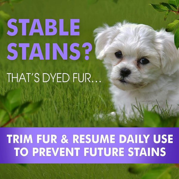 Arava   Tear Stain Remover   Eye Stain Cleaner for Dogs & Cats   Natural Ingredients & 26 Dead Sea Minerals   Safe & Effective for Pets   Removes Tear & Saliva Stains & Prevents New Ones - Image 6