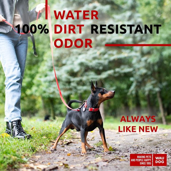 Waterproof Dog Leash 4 Ft   6 Ft   Anti Slip Dog Leash for Large Dogs Small and Medium Dogs   Heavy Duty Dog Leash with Water and Dirt Resistant   Long Or Short Dog Leashes for Boy & Girl Dogs - Image 2