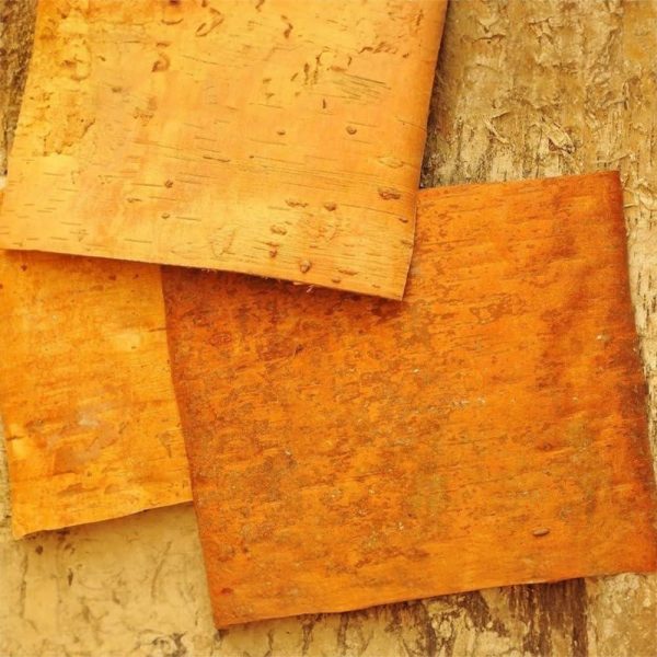 Natural White Birch Bark 4 Sheets 8  x 8    Russian White Birch Tree Decor Sheets for Scrapbooking DIY Projects Arts and Crafts   Unfinished Wood Paper Birch - Image 6