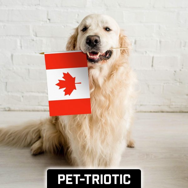 G128 30 Pack Handheld Canada Canadian Stick Flags | 12x18 In | Printed 150D Polyester, Country Flag, Solid Wooden Stick, Spear Gold Tip - Image 7
