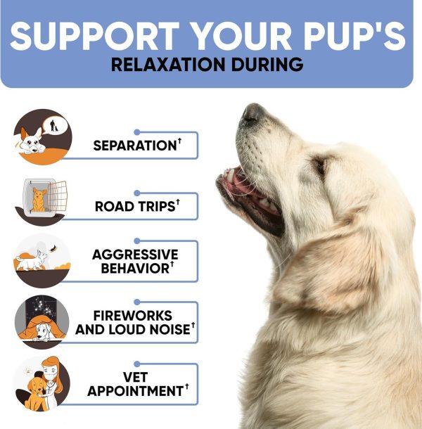 Kinpur Pet Care Calming Chews for Dogs - Dog Calming Treats with Hemp Oil, Valerian Root, Vitamin B - Dog Anxiety Relief, Separation, Fireworks, Thunderstorms, Vet - All Breeds 180 Beef Flavor Chews - Image 5