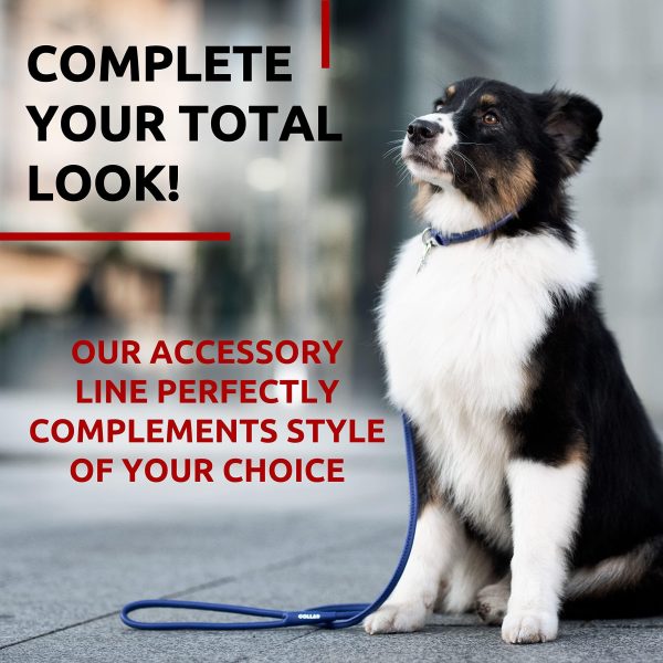 Rolled Leather Dog Leash 4Ft * 0.5 in for Small Medium and Large Dogs   Heavy Duty Leather Puppy Leash for Outdoor Walking Running Training   Strong Dog Leashes for Large Breed Dogs (Purple) - Image 5