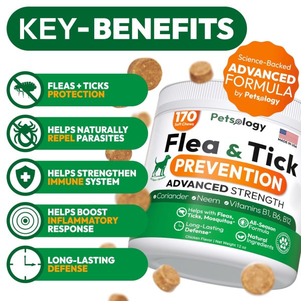 Flea and Tick Prevention for Dogs Pills   Natural Dog Flea & Tick Control   170 Soft Chewables   Oral Defense Treatment for Dogs Supplement   Vet Formulated Chews   All Breeds & Ages   Made in USA - Image 2
