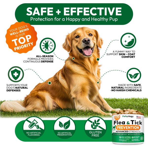 Flea and Tick Prevention for Dogs Pills   Natural Dog Flea & Tick Control   170 Soft Chewables   Oral Defense Treatment for Dogs Supplement   Vet Formulated Chews   All Breeds & Ages   Made in USA - Image 4