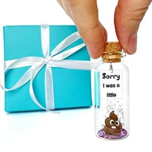 I'm Sorry Gifts for Her and Him   Personalised Apology Gift   Cute Poop in a Jar and Sorry Card   Forgive Me Present Idea (in Teal Blue Box Sorry I was a little   Brown Poop)