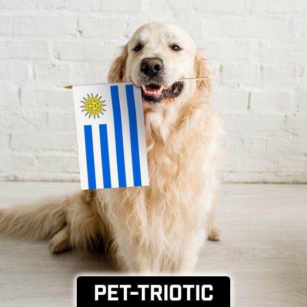 G128 12 Pack Handheld Uruguay Uruguayan Stick Flags | 12x18 In | Printed 150D Polyester, Country Flag, Solid Wooden Stick, Spear Gold Tip - Image 7