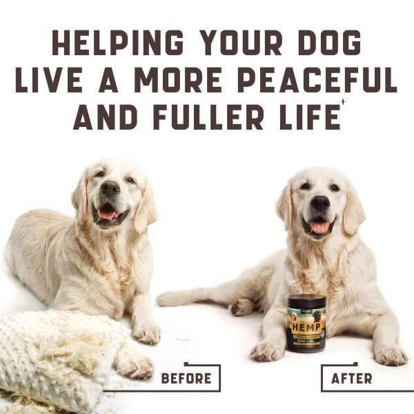 Kinpur Pet Care Calming Chews for Dogs with Hemp Oil - Aid During Thunderstorms, Separation, Car Rides - Hip and Joint Health - Tasty Dog Calming Treats, 180 Peanut Butter Flavored Chews - Image 6