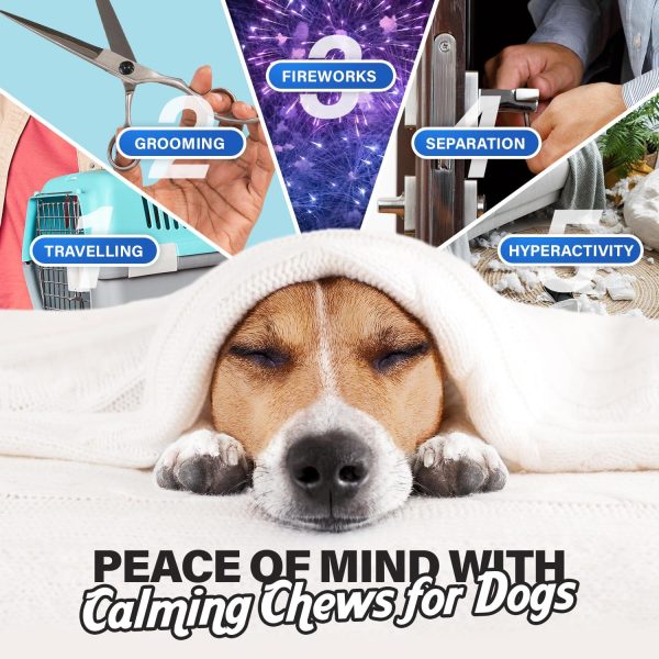 Calming Chews for Dogs Dog Anxiety Relief Promote Relaxation Dog Calming Chews with Melatonin for Dogs Chamomile Magnesium Citrate 90 Soft Chews Chicken Flavor - Image 3