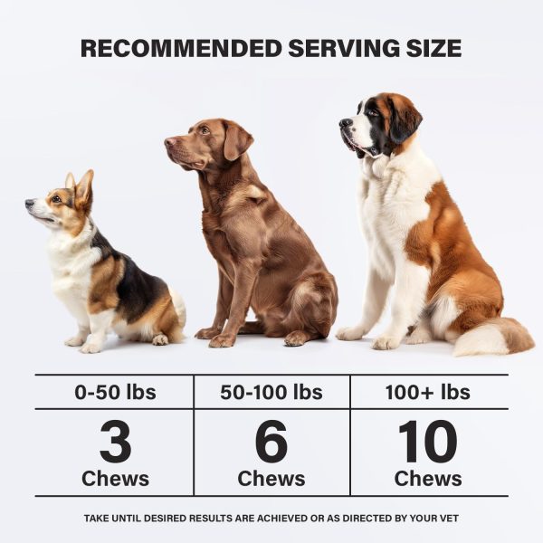 Calming Chews for Dogs Dog Anxiety Relief Promote Relaxation Dog Calming Chews with Melatonin for Dogs Chamomile Magnesium Citrate 90 Soft Chews Chicken Flavor - Image 6