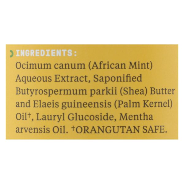 Alaffia - African Black Soap - Peppermint - 16 fl oz. - Image 2