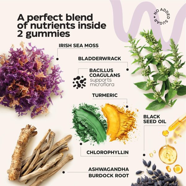 Multimineral Sea Moss Glow Gummies 3000 Mg   Irish Seamoss for Immunity Thyroid Health Skin   Detox Cleanse Gummies with Black Seed Oil Bladderwrack Ashwagandha   No Sugar GMO   for Men and Women - Image 2