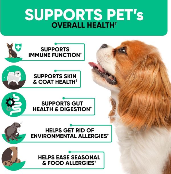 Natural Dog Allergy Chews for Dog Itch - Tasty Allergy Relief Pet Supplement for Dry Itchy Skin, Hot Spots, Seasonal Dog Allergies - 180 Anti Itch Immune Treats for Dogs Licking Paws, Antihistamine - Image 4