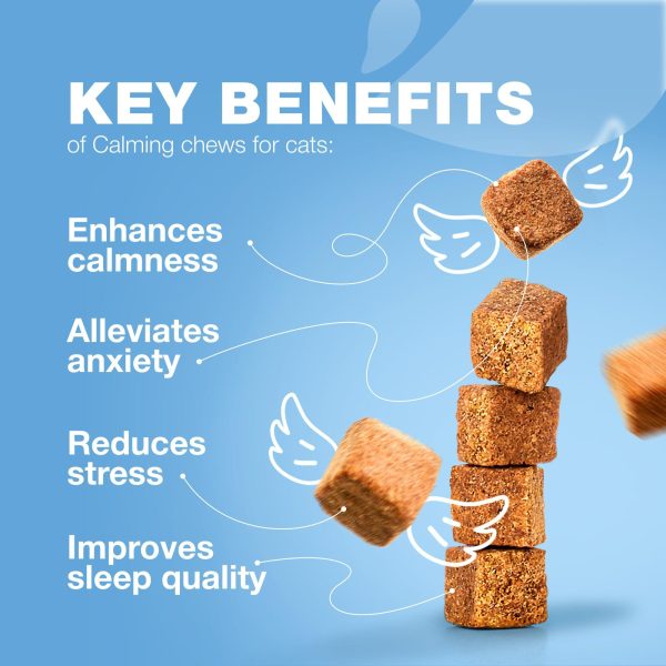 Cat Calming Treats   Hemp Calming Care for Cats   Cat Melatonin Soft Chews with Hemp Seed Oil and Probiotics   Cat Anxiety Relief   Storms Travel Grooming Separation   Calming Chews for Cats - Image 3