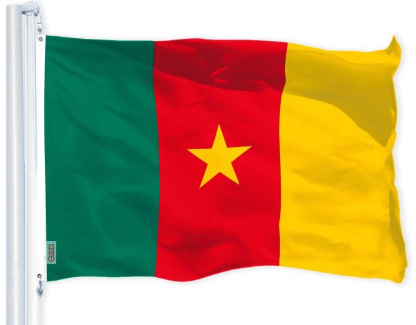 Cameroon (Cameroonian) Flag 150D Printed Polyester 3x5 Ft
