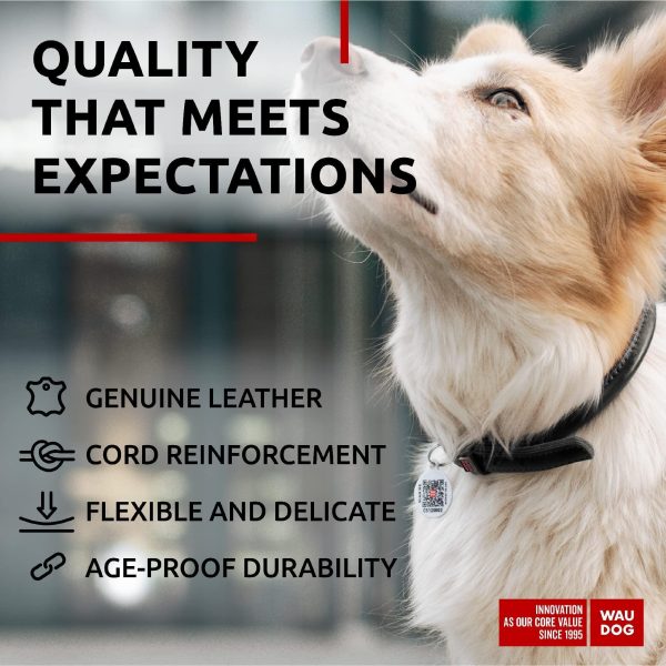 Ultra Soft Rolled Leather Dog Collar for Small Dogs   Soft Padded Dog Collars for Medium Dogs   Puppy Collars for Large Breed Dogs   Male and Female Dog Collar - Image 4