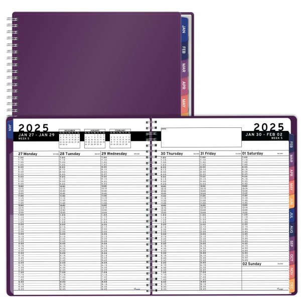 2025 Appointment Book & Planner   8.5 x 11 inches Large Tabbed Daily Hourly Weekly Planner Calendar & Schedule Book 15 Minute time Slots Business & Personal Planner Jan 2025  Dec 2025  Purple