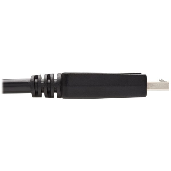 Eaton Tripp Lite Series DisplayPort to DVI Adapter Cable (DP with Latches to DVI-D Single Link M/M), 10 ft. (3.1 m) - Image 5