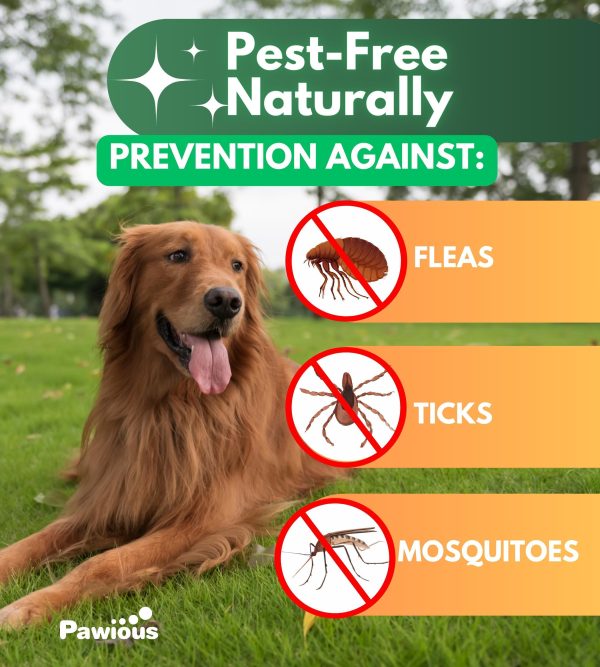 Flea and Tick Prevention for Dogs Chewables   Natural Dog Flea and Tick Control Supplement   Flea & Tick Chews for Dogs   Oral Flea Pills for Dogs   Pest Defense   All Life Stages   Made in USA - Image 4