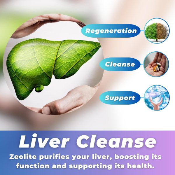 Sorbolit Zeolite Detox Powder   7.05oz Clinoptilolite Zeolite Powder Sorbolit  1 2 µm Zeolite Clinoptilolite Powder Supplement for Liver Detox   200 Days Supply - Image 5