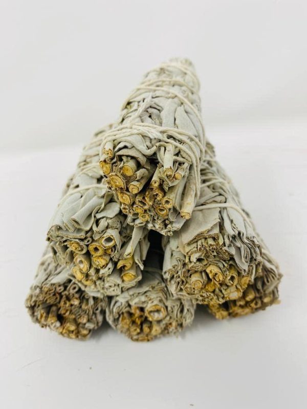 Bholi Sage Plus Sage Smudge Kit Pack of 6 White Sage Smudge Stick 4Inch Long Used for Meditation Smudging Rituals and Cleansing Getting Rid of Negative Energy Sustainably Grown California Sage - Image 2