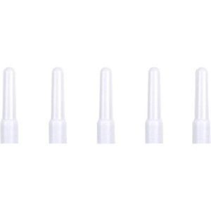 Indoor DB Ants 6-PK