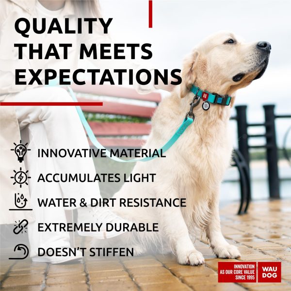 Waterproof Dog Collar   Heavy Duty Adjustable Durable Dog Collars for Small Medium Large Dogs   Red Blue Pink Mint Green Dog Collar   Safety Plus (13 1 5    19 2 5  Neck Glowing) - Image 2