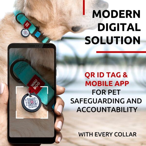 Waterproof Dog Collar   Heavy Duty Adjustable Durable Dog Collars for Small Medium Large Dogs   Red Blue Pink Mint Green Dog Collar   Safety Plus (13 1 5    19 2 5  Neck Glowing) - Image 4