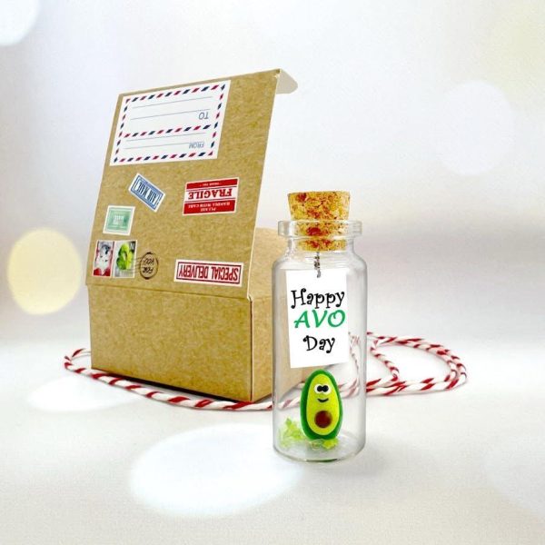Tiny Magical Message in a Bottle Gift Idea   Classy Inspirational Gifts for Him and Her   Unique Presents for Women and Men (Green Avocado   Happy Avo Day in Craft Gift Box) - Image 4