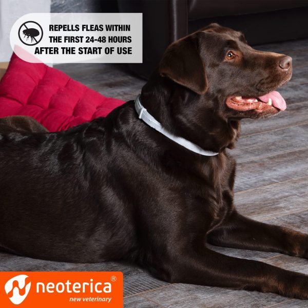 Natural Flea & Tick Collar for Dogs   6 Months Control of Best Prevention & Safe Treatment   Anti Fleas and Ticks Essential Oil Repellent (1 Count (Pack of 1)) - Image 3