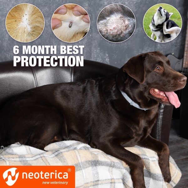 Natural Flea & Tick Collar for Dogs   6 Months Control of Best Prevention & Safe Treatment   Anti Fleas and Ticks Essential Oil Repellent (1 Count (Pack of 1)) - Image 4