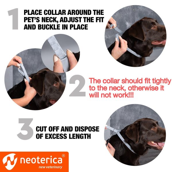 Natural Flea & Tick Collar for Dogs   6 Months Control of Best Prevention & Safe Treatment   Anti Fleas and Ticks Essential Oil Repellent (1 Count (Pack of 1)) - Image 5
