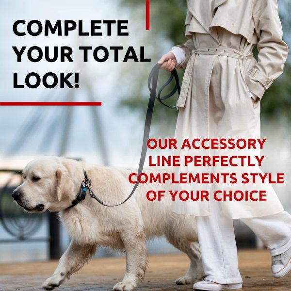 Waterproof Dog Leash 4 Ft   6 Ft   Anti Slip Dog Leash for Large Dogs Small and Medium Dogs   Heavy Duty Dog Leash with Water and Dirt Resistant   Long Or Short Dog Leashes for Boy & Girl Dogs - Image 6