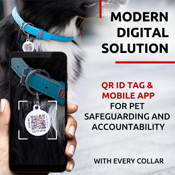 WAUDOG Ultra Soft Rolled Leather Dog Collar for Small Dogs   Soft Padded Dog Collars for Medium Dogs   Puppy Collars for Large Breed Dogs   Male and Female Dog Collar - Image 2