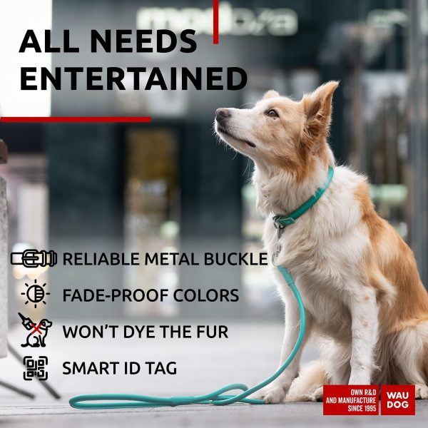 WAUDOG Ultra Soft Rolled Leather Dog Collar for Small Dogs   Soft Padded Dog Collars for Medium Dogs   Puppy Collars for Large Breed Dogs   Male and Female Dog Collar - Image 5