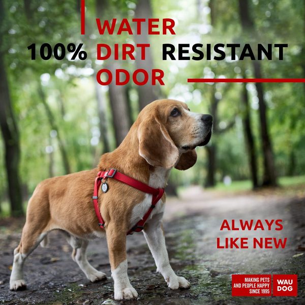 Waterproof Dog Harness   Adjustable Dog Harness for Large Dogs Small and Medium Dogs   Heavy Duty Dog Harness with Durable Metal Clasp and QR Dog Tag   Boy & Girl Dog Harness   Red (20 32in) - Image 2